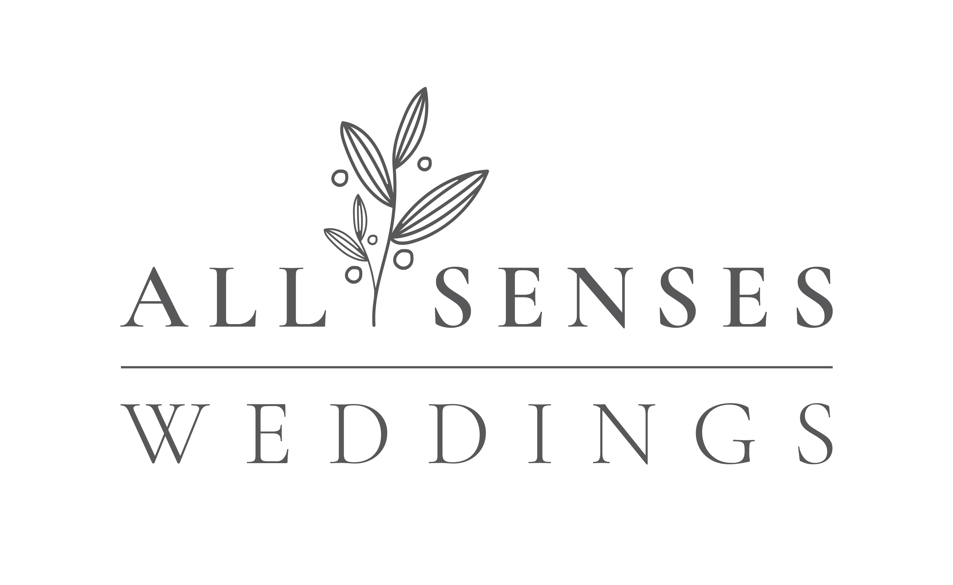 allsenses-Logo